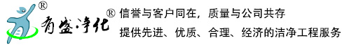 上海有盛凈化科技有限公司